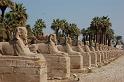 035. luxor temple